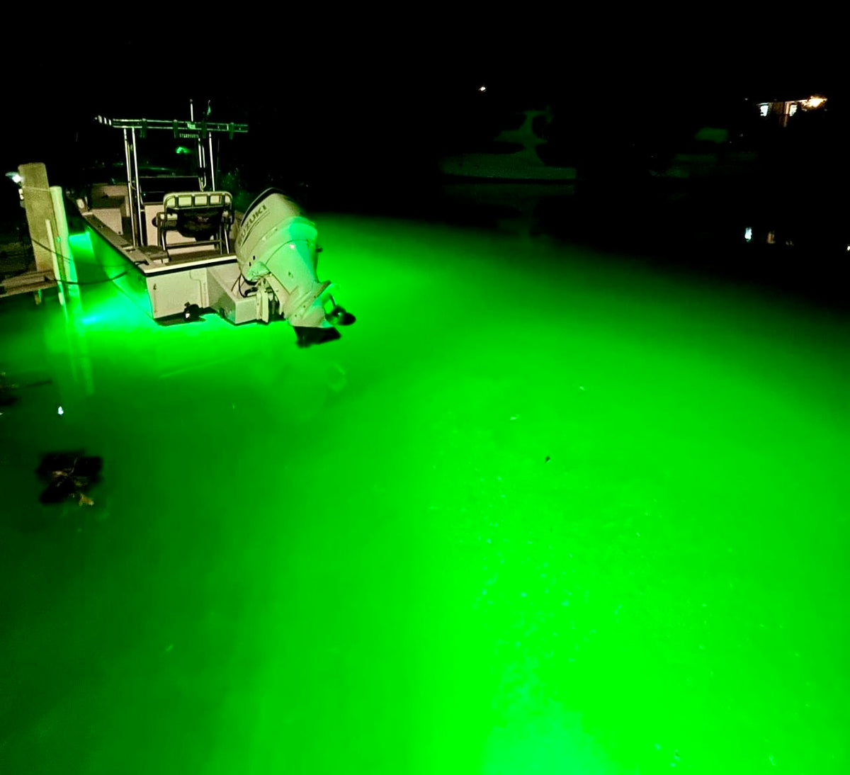 Fishing Lure Light LED Deep Drop Underwater Eye Fish Attractor