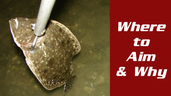Flounder Gigging: Where to Aim and Why?