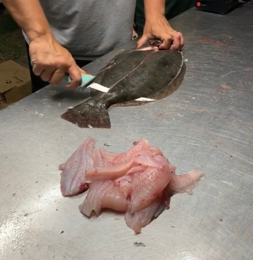 Fillet Knives & Fish Processing