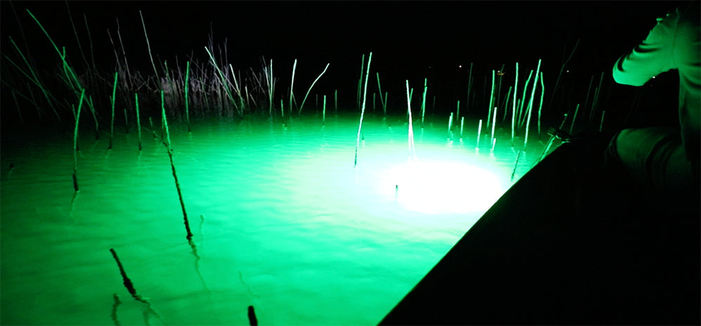 Buyers' Guide for the Best Underwater Lights for Fishing
