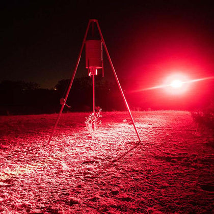 hog hunting lights