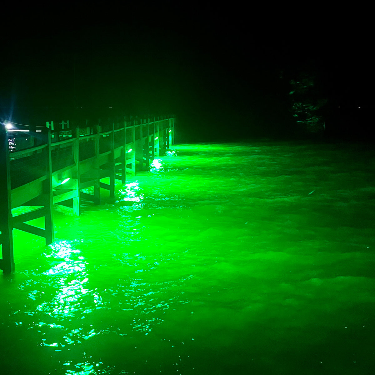 Hydro Glow fishing lights added to Anderson County fishing pier