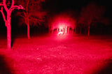 light bar for hog hunting