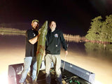 Bright Swamp Eye Bowfishing Lights on Airboat