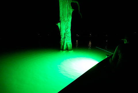 underwater green crappie and shad fishing light
