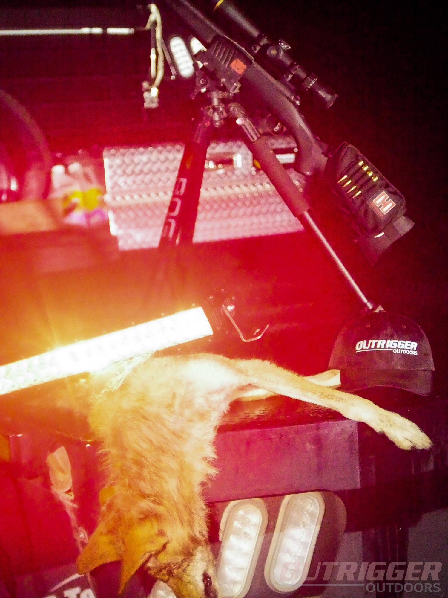 best coyote hunting light