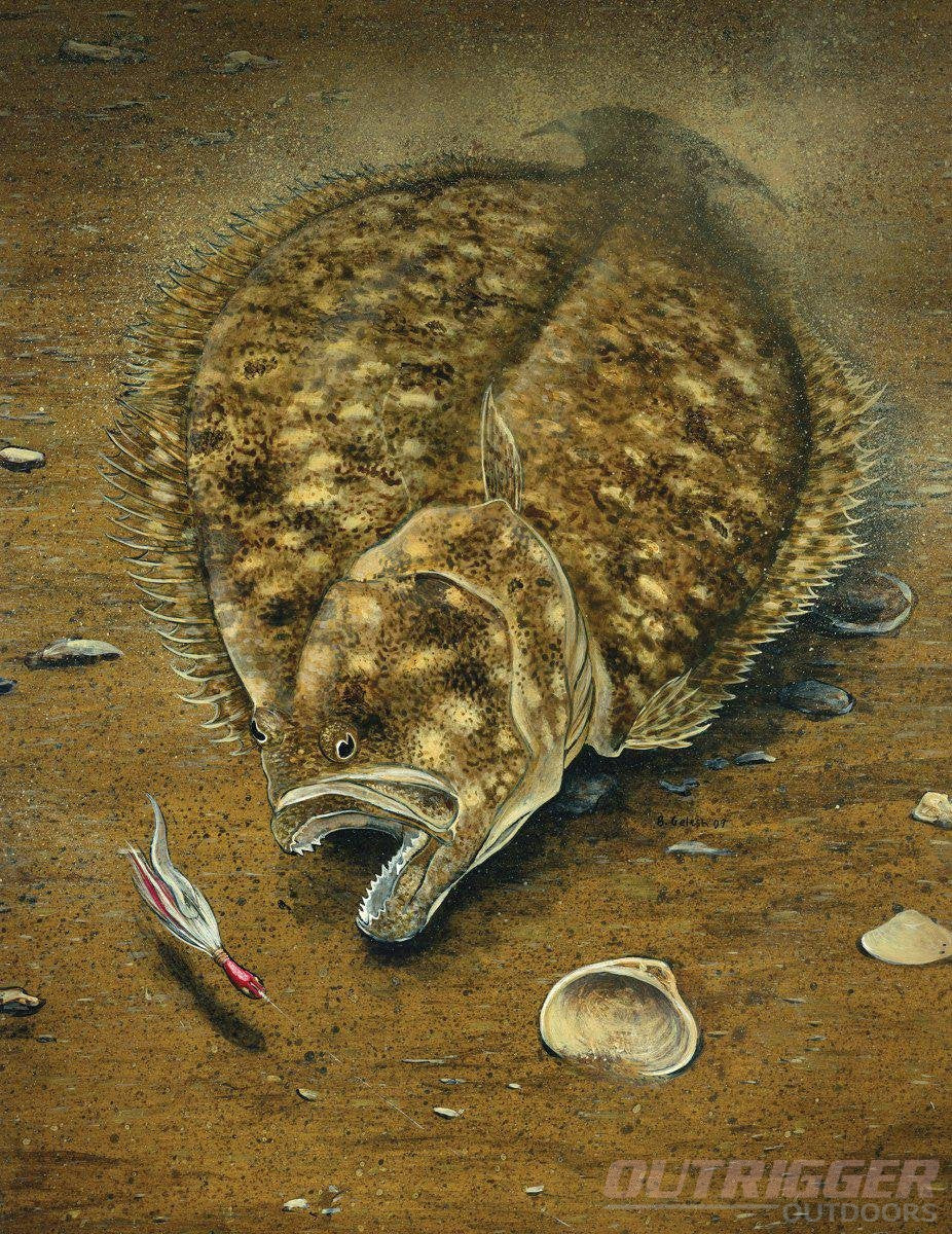 The Flounder Run: When Does it Start in Your Area?