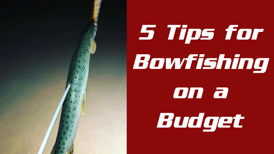 5 Tips for Bowfishing on a Budget: Where you can and can NOT cut costs