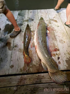 What to Look for in a Quality Bowfishing Spot?