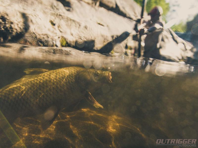 bowfishing equipment