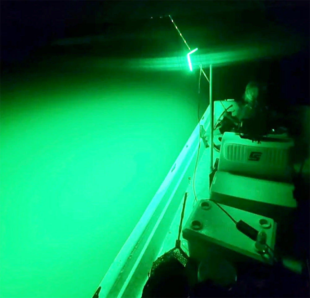 Catch More Fish: How Certain Fishing Lights Are Key to Catching Bait