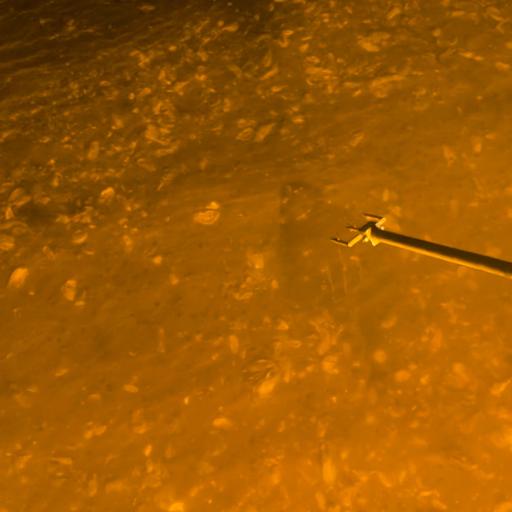 The Best All-Around Flounder Gigging Lights for 2026