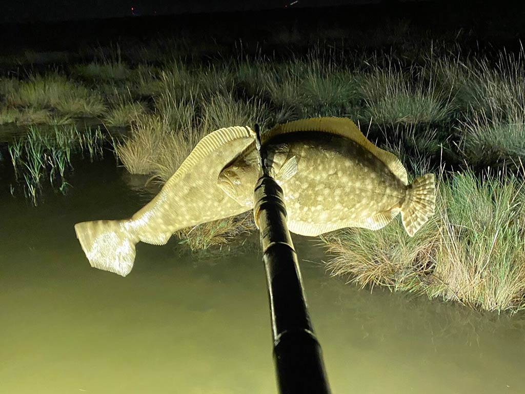 Texas & Gulf Coast Flounder Gigging Guide (Lights, Tips, Regulations)