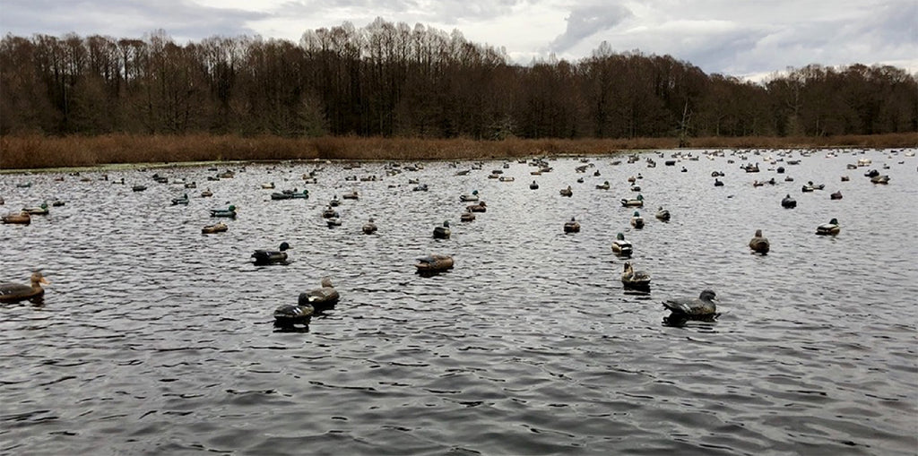 Duck Hunting: The Beginner's Guide to Get Started