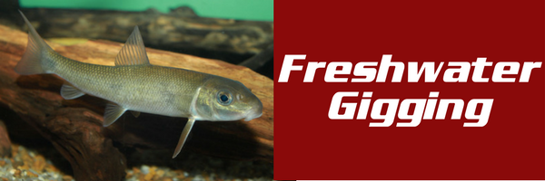 Freshwater Fish Gigging: Rivers, Streams, and Lakes