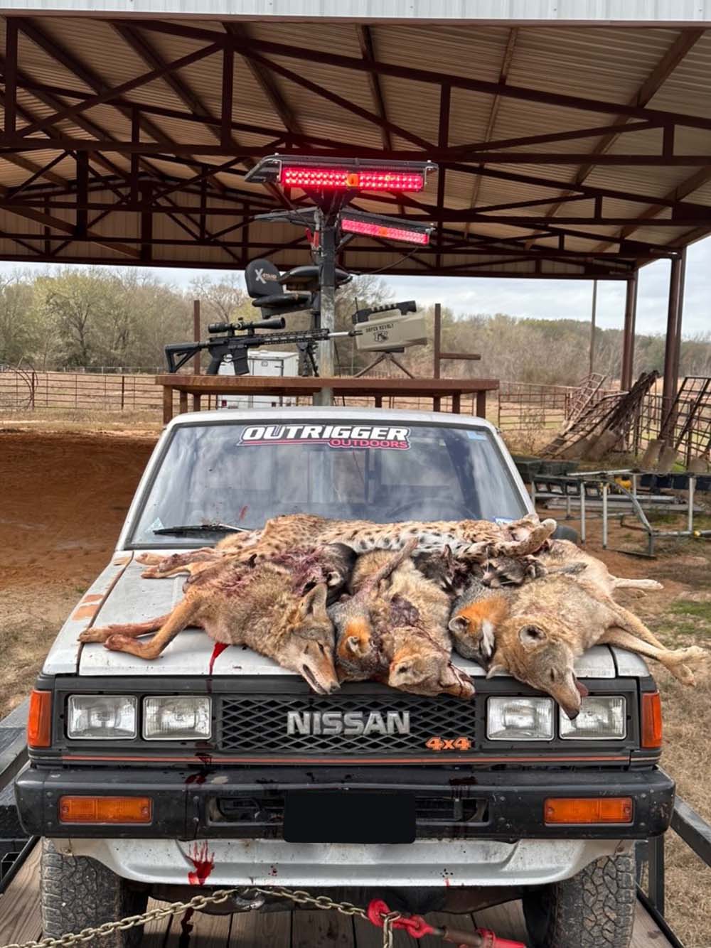 predator cannon hunting light mounting ideas