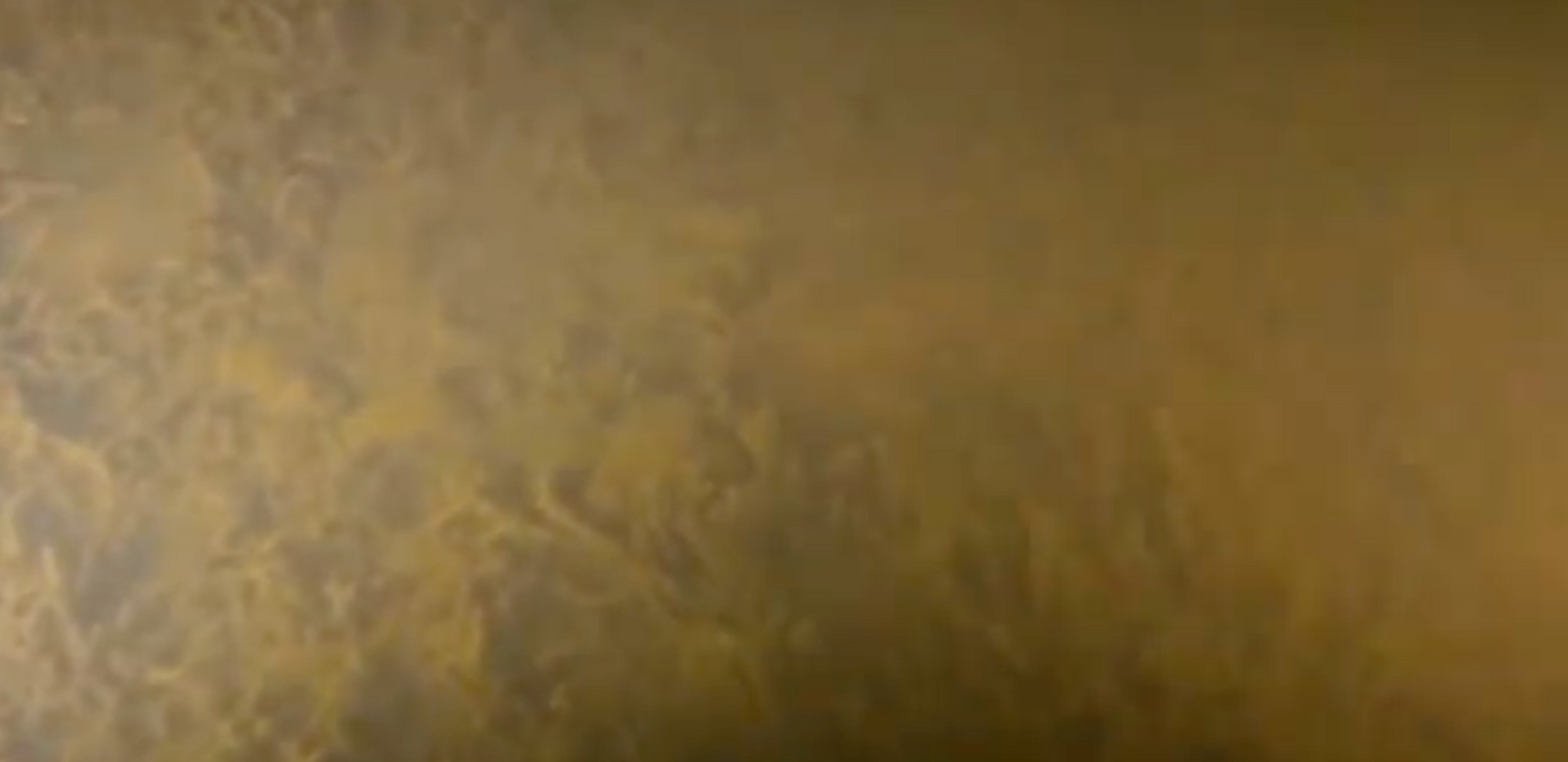 Bowfishing Light Dark Spots: How Swamp Eye HD Eliminates Dead Zones