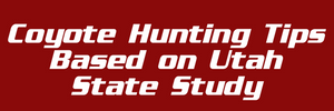 Calling all Coyotes: Proven Tips for a Successful Coyote Hunt Across the United States