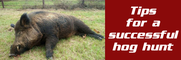 Tips and Tricks for a Successful Hog Hunting Trip