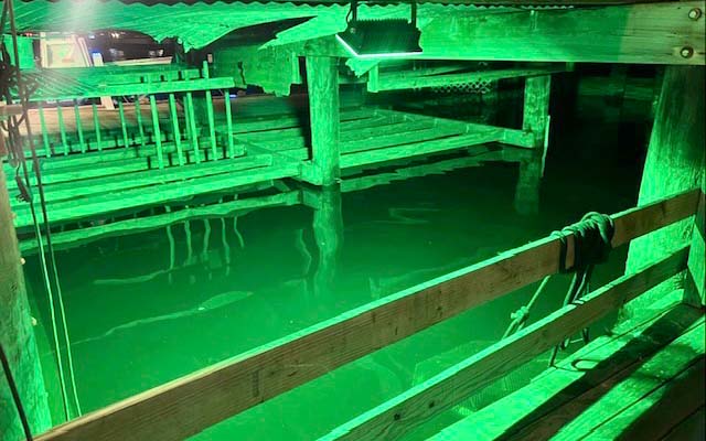 The Guide to Above Water Maintenance Free Green Fishing Lights