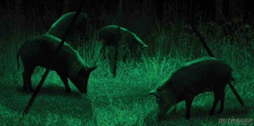 What is the Best Bow Light for Night Hunting?