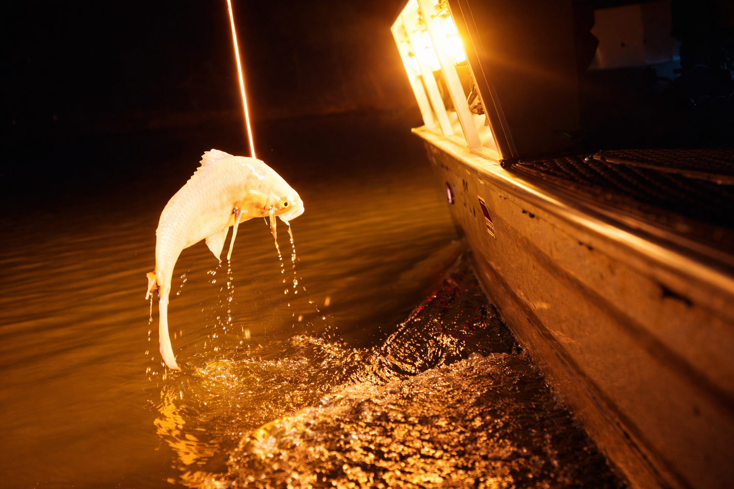 Best Bowfishing Lights of 2026 (Ultimate Buyer’s Guide)
