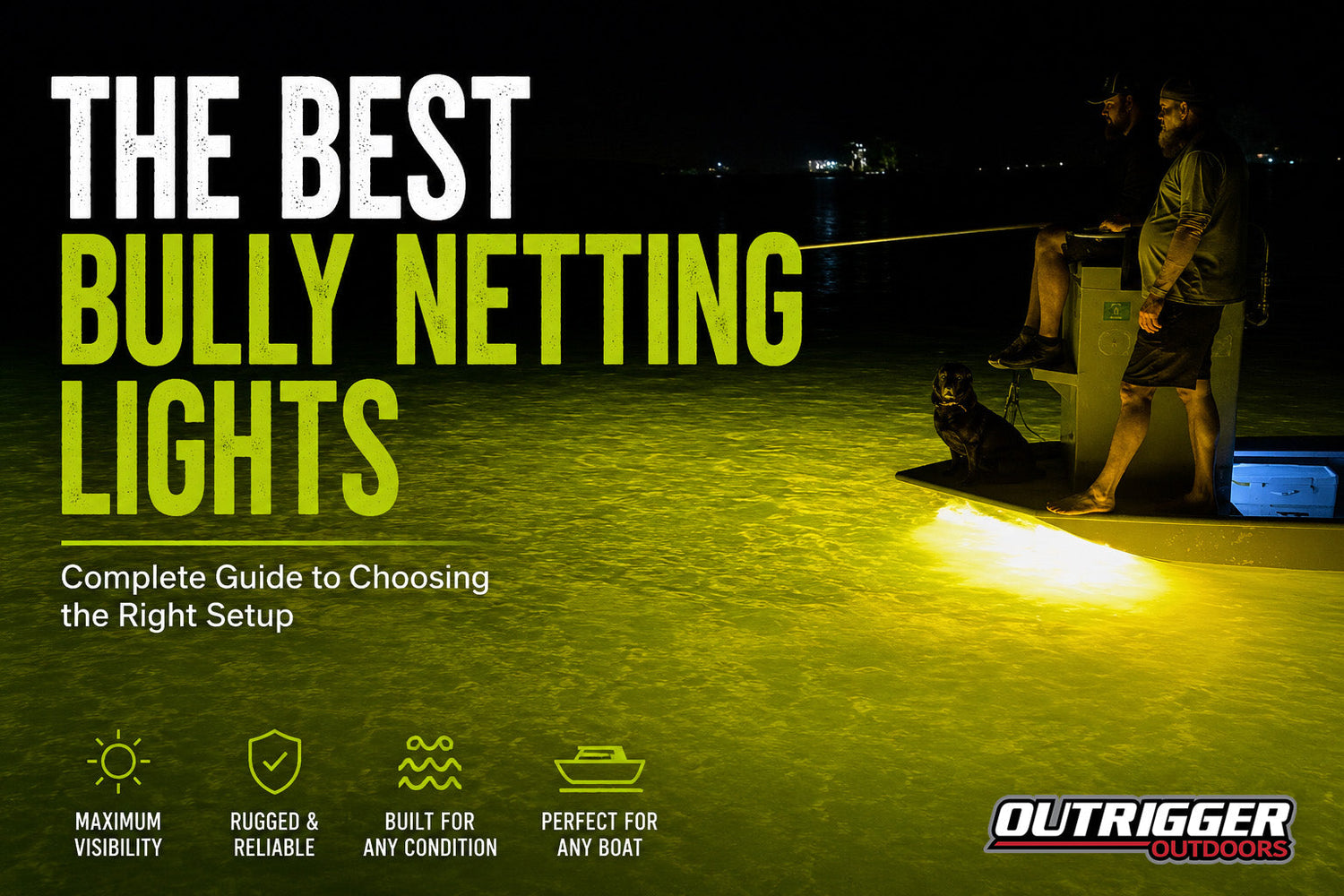 The Best Bully Netting Lights: Complete Guide to Choosing the Right Setup