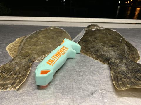 best fillet knife for hunting and fishing