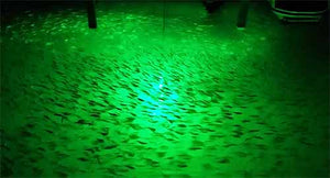 Freshwater Blue Waterproof Fishing Lights , Underwater Fishing Lamp