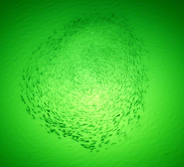 Choosing the Best Underwater Dock Lighting