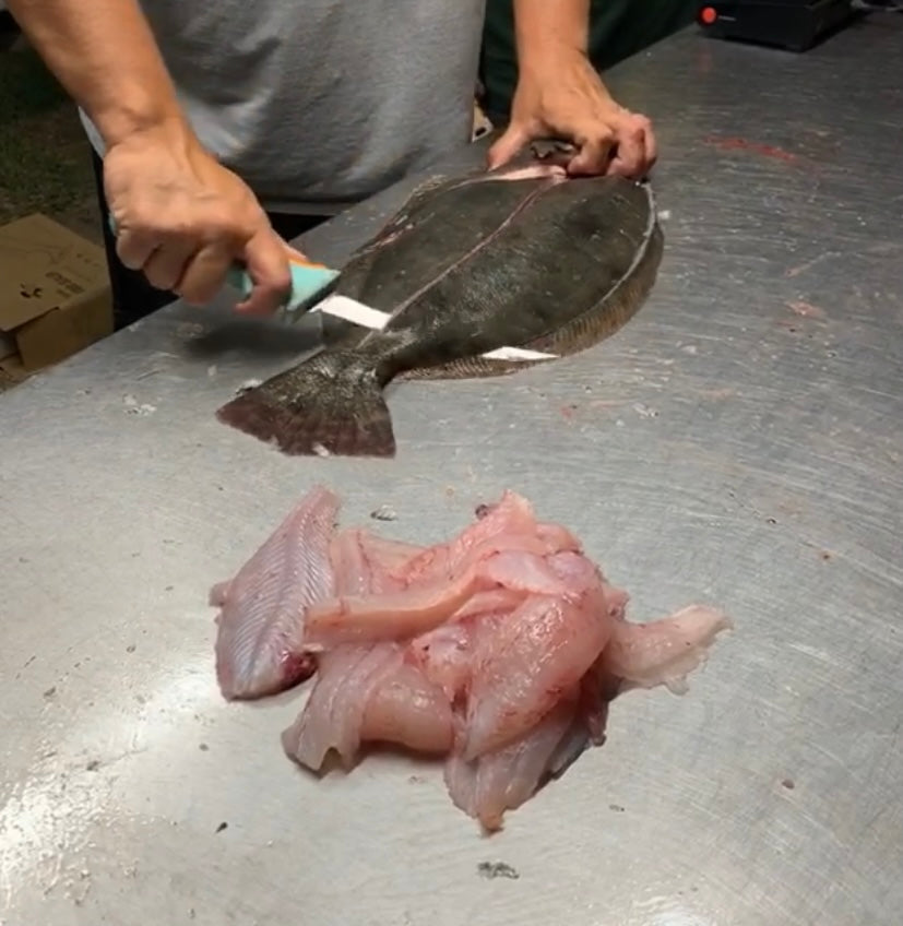 fillet knife for fish