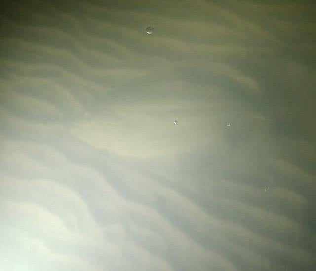 sight casting for flounder