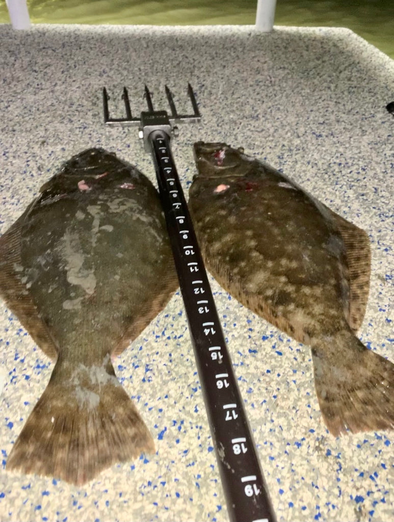 Fall Flounder Run - Great Time to Go Gigging