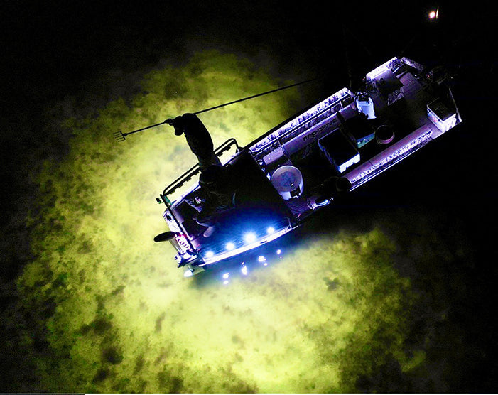 best flounder gigging lights for sale