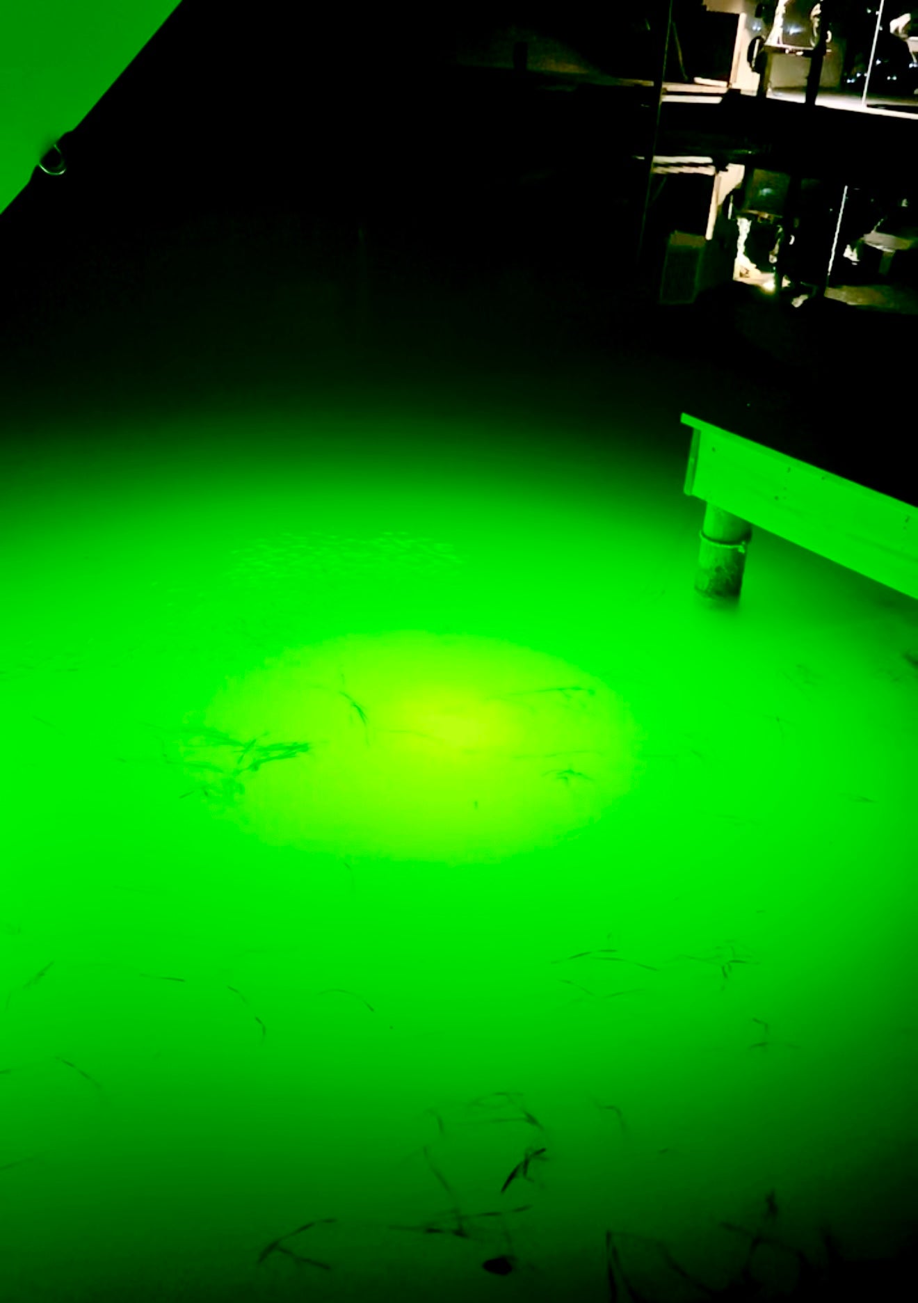 MEGA Series metal halide underwater green fishing light by dock and pier, submersible for boat fishing, designed to attract lobster, flounder, shrimp, snook, redfish, trout, and bait fish.