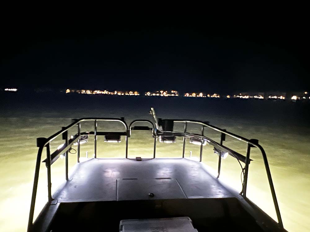 Electrofishing Lights: The Key to Nighttime Fish Surveying
