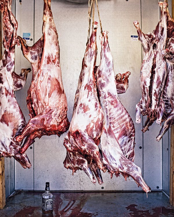 tips on how to skin and butcher a wild hog