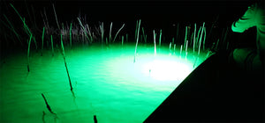 Best Underwater Light for Fishing