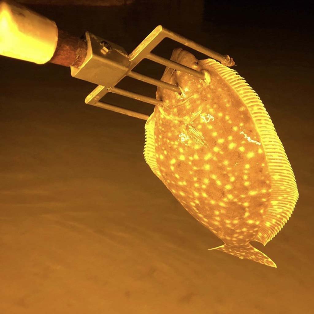 Flounder Gigs