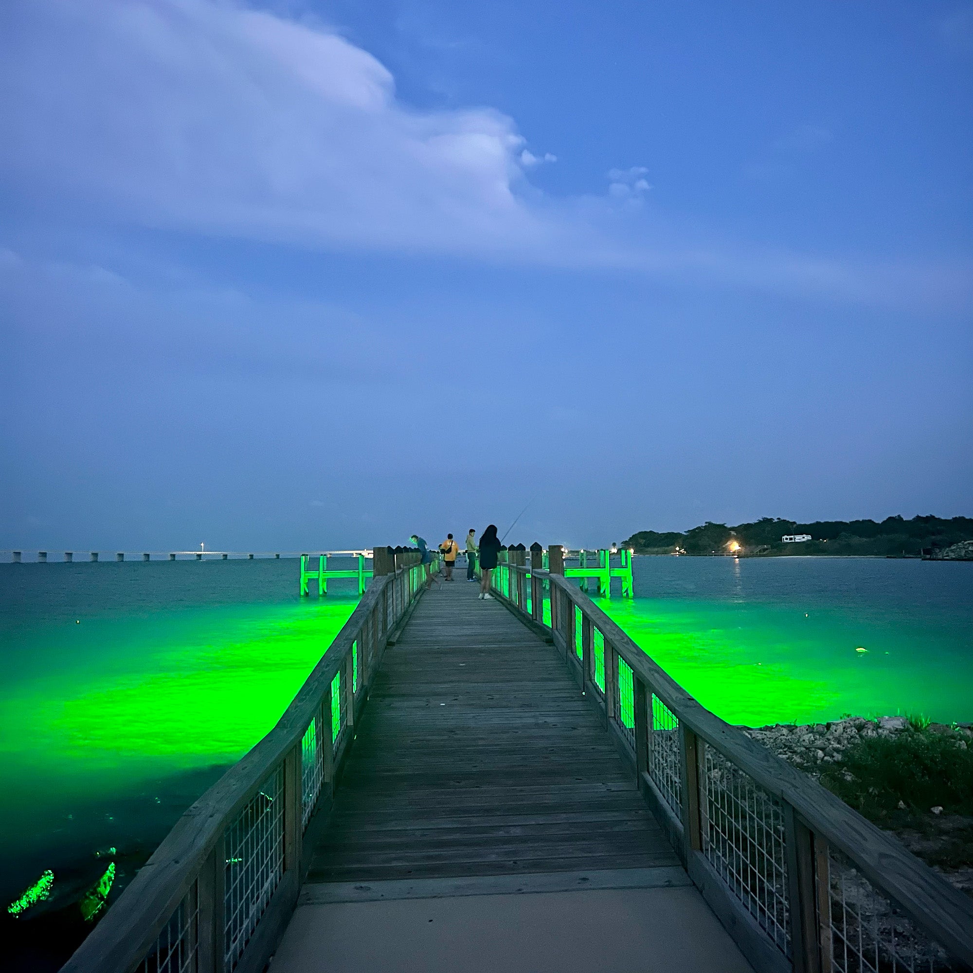 thumbnail image 2 of Green/White Apollo Iris Underwater LED Lighting System (40 Foot Power 2 of 9