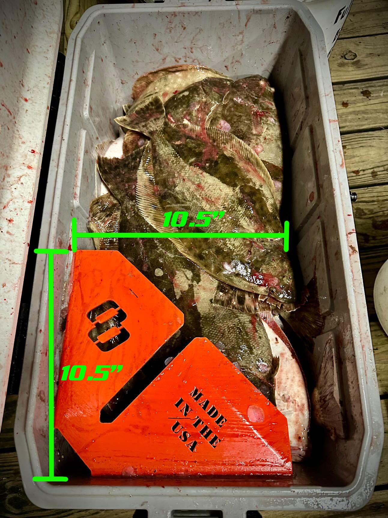 Fish Rake and Gigged Fish Remover Dimensions - 10.5" X 10.5"