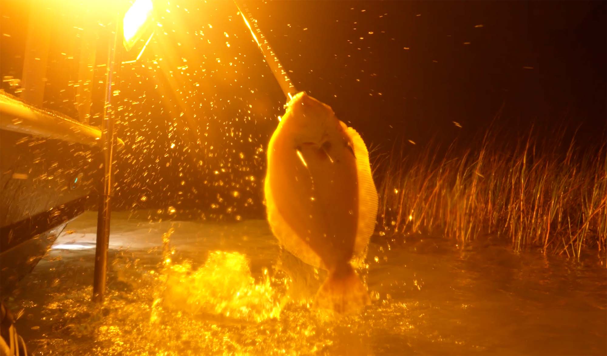 Flounder Gigging