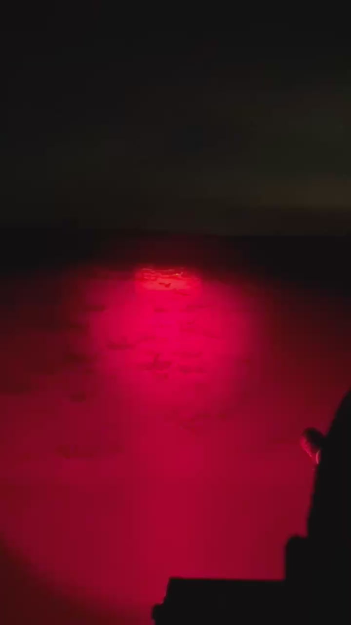 Load video: Predator Cannon® Hunting Light Bar