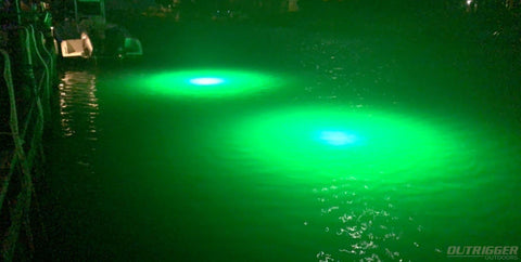  Tendelux Underwater Fishing Light, 110V & 12V Super Bright Green  LED Submersible Light Attractants for Docks, Boats or Kayaks, IP68 Rated  for Fresh & Salt Water (30ft Cable) : Sports 