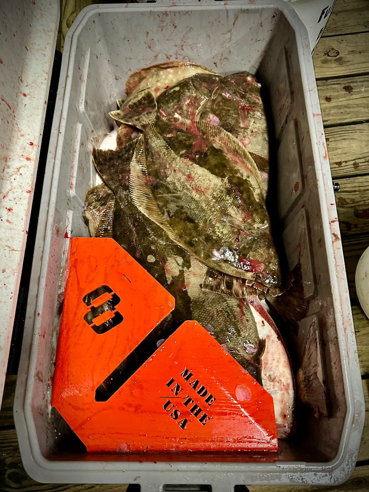 Gigged Fish Remover | Fish Rake